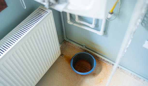 Best Mold removal after water damage  in Fairless Hills, PA