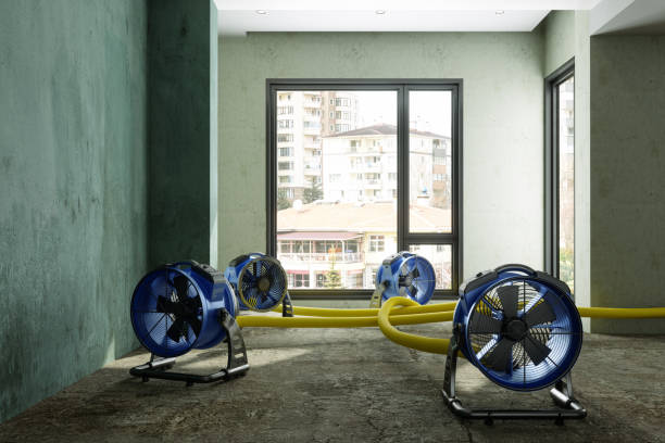 Best Basement water damage restoration  in Fairless Hills, PA